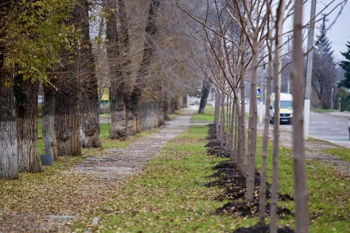 img-9-din-31.10.2025