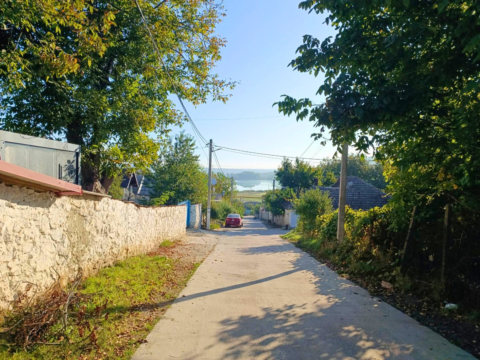 1Articol-foto