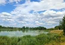 Cum se poate adapta o comunitate la schimbările climatice: de la protejarea râurilor la infrastructura verde