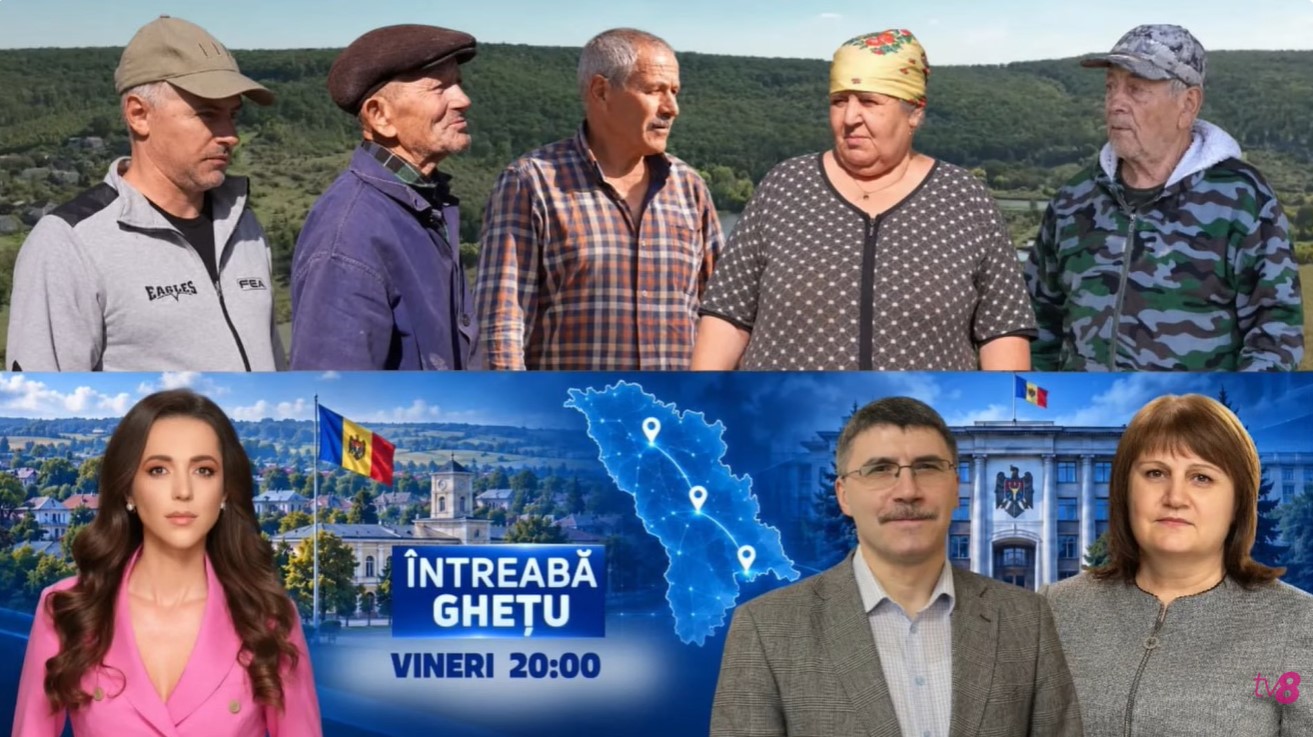 tv81